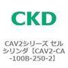 81699003