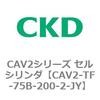 81925557