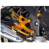 002-H025BK バックステップ ベビーフェイス 00123449