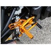 002-S019GD バックステップキット ベビーフェイス 00136286