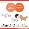 KY-97 このコ想いのロングマット サンコー[日用品] 00180097