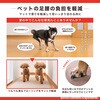 KY-99 このコ想いのロングマット サンコー[日用品] 00180122