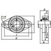 UCFL209 ЂtW`jbg NTN(GkeB[Gk) 00379346