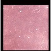 00547584