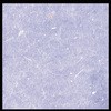00547636