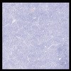 00547645