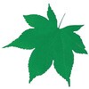 型抜きクリアシート ミニ・青もみじ 用美(ヤマコー)