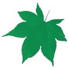 型抜きクリアシート 青もみじ 用美(ヤマコー)