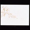 遠赤保鮮紙 桜 用美(ヤマコー)