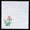 新・濡れ奉書紙 菖蒲 用美(ヤマコー)