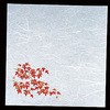 00550646