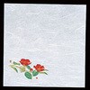 00550707