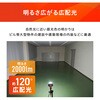00556407
