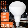 LED d y20000ԁz