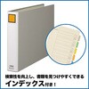 1005EN LOt@C G (R^) LOW 00621205