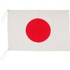 エクスラン万国旗