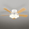 AC MOTOR FAN シーリングファン 薄型(灯具一体タイプ) 羽根リバーリブルタイプ 本体 ODELIC(オーデリック)