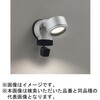 OG264202LCR FLED GNXeAX|bgCg 环ʃJt ODELIC(I[fbN) 00698401