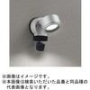 OG264202NCR FLED GNXeAX|bgCg 环ʃJt ODELIC(I[fbN) 00698410