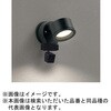 OG264204LCR FLED GNXeAX|bgCg 环ʃJt ODELIC(I[fbN) 00698419