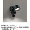 OG264204NCR FLED GNXeAX|bgCg 环ʃJt ODELIC(I[fbN) 00698428