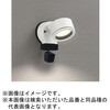 OG264206LCR FLED GNXeAX|bgCg 环ʃJt ODELIC(I[fbN) 00698437