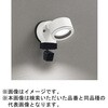 OG264206NCR FLED GNXeAX|bgCg 环ʃJt ODELIC(I[fbN) 00698446