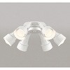 WF277PR1 高演色LED シーリングファン用灯具 ODELIC(オーデリック) 00699058