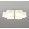 WF257PR 高演色LED シーリングファン用灯具 ODELIC(オーデリック) 00699076
