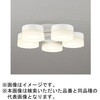 WF258PR FLED V[Ot@p ODELIC(I[fbN) 00699085