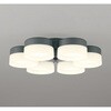 WF259PR 高演色LED シーリングファン用灯具 ODELIC(オーデリック) 00699101