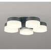 WF260PR 高演色LED シーリングファン用灯具 ODELIC(オーデリック) 00699110