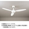 WF504P1 AC MOTOR FAN V[Ot@ X`[t@ { ODELIC(I[fbN) 00700196