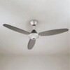 WF506P1 AC MOTOR FAN シーリングファン スチールファン 本体 ODELIC(オーデリック) 00700205