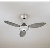 WF505P1 AC MOTOR FAN シーリングファン スチールファン 本体 ODELIC(オーデリック) 00700230