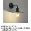 OG254771LC1 LED GNXeA|[`Cg ODELIC(I[fbN) 00726620