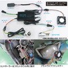 65015 LEDou PH12^Cv Hi/Lo vebN 00898529
