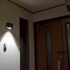 HLH-1205(DB) ĂȂCgEǕt ELPA 01193605