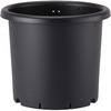 8�� �e�� �A�b�v���E�F�A�[ 01291465