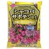 シャコバサボテンの土(ステビア配合)