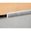 RG3919 xphO IRS 01381302