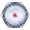 02040254
