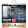 HIDバルブ クールスカイ D4R/S