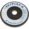 TD10016-A テクノディスク A イチグチ 02474631