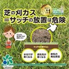 - プラス1サッチを分解するバチルス菌2kg 自然応用科学 02504411