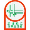 02533081