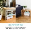 ZN-DP75-WH 電気ちりとり Neo CCP 02581456