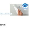 02591815,02591831,02591840,02591849
