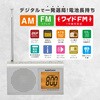 RAD-P523S-S AM/FMハンディラジオ DSPデジタル選局 ワイドFM対応 大文字液晶 オーム電機 02601108