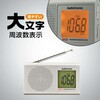 RAD-P523S-S AM/FMハンディラジオ DSPデジタル選局 ワイドFM対応 大文字液晶 オーム電機 02601108